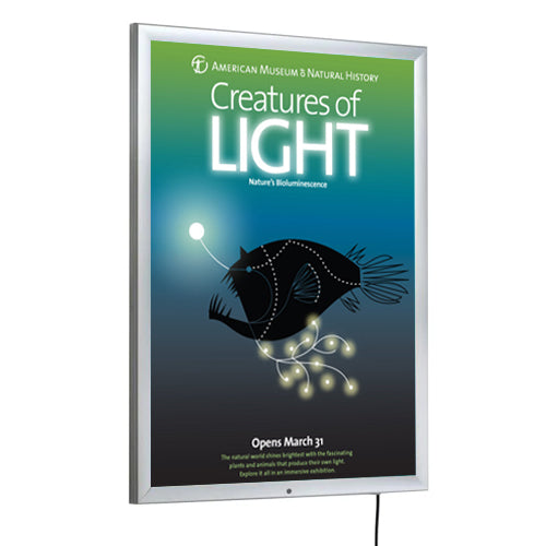 Weatherproof Outdoor LED 24x36 Light Box Lockable Snap Poster